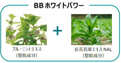 91ip9kLeyzk7NN8CryUn.png?w=940&h=940