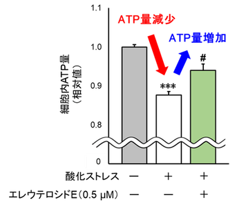 93iTk7Ghbk3wwQ9xCK0W.png?w=940&h=940