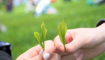 94QHu9mjzdxo2uHm8jf8.jpg?w=940&h=940