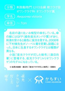 95vO0PgCuzQ1sTnAb28X.jpg?w=940&h=940