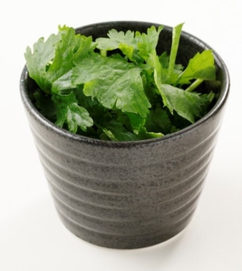 食べやすい国産パクチー