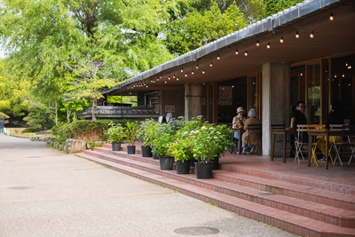 96MJ8GRMWcrhcnUh5hgK.jpg?w=940&h=940