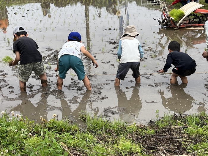 田植え(イメージ)