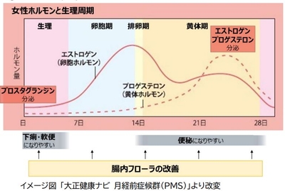 女性ホルモンと生理周期