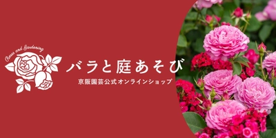 「バラの専門通販サイト『バラと庭あそび』がオープン！」 ～リニューアルオープンセールやバラ苗販売も～