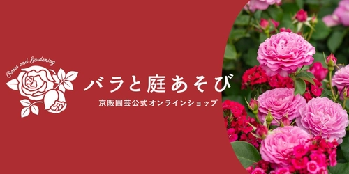 「バラの専門通販サイト『バラと庭あそび』がオープン！」 ～リニューアルオープンセールやバラ苗販売も～