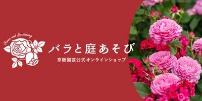 985zfOWeKZspvfIOYTDh.jpg?w=940&h=940