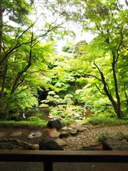 殿ヶ谷戸庭園の茶室で和花をいける特別なひと時。5/18(土)「武蔵野の初夏をいける」を開催します。