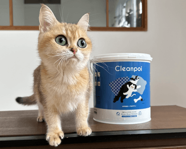 99MxPYi1PtBPcVWdsNdV.png?w=940&h=940