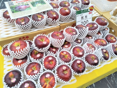 99dlmX2FA6Gu3LEnIXPD.jpg?w=940&h=940