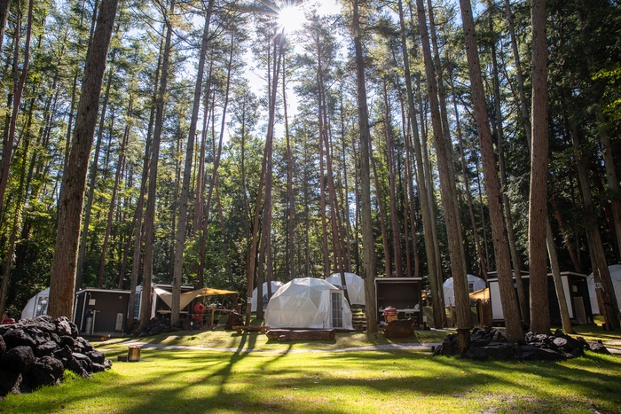 森林に囲まれたドームテント パオ