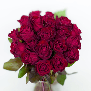 9AOspoREEZ073ubFcgZd.png?w=940&h=940