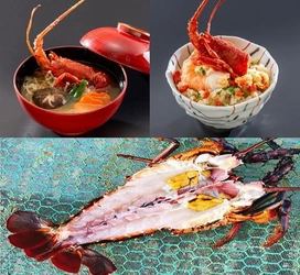 伊豆初！この時期にしか味わえない贅沢シリーズ　 「旬」の新鮮な伊勢えび使用　 伊勢えび御飯、伊勢えび鍋、伊勢えび干物3種新登場！