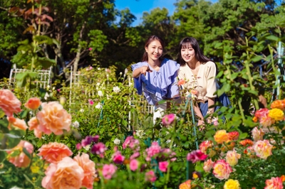 9E1Aac0azhGx1WDX4FaD.jpg?w=940&h=940