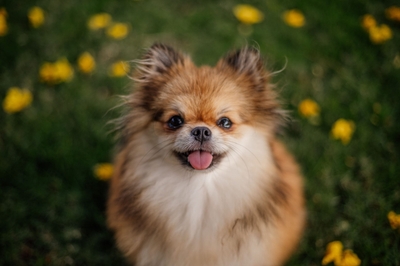 9E9THZNLVs6id3Xx9WfK.jpeg?w=940&h=940