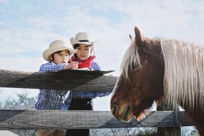 9EbPDO56dz6Z8nUAfOSm.jpg?w=940&h=940