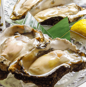 9FksJ5coOdwSyAwrDz6u.png?w=940&h=940