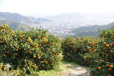 9Fna8mZuKGPEtmLnireC.jpg?w=940&h=940