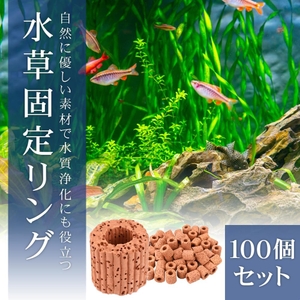 9GkB4fzis1VY6CBedAJX.jpg?w=940&h=940