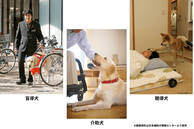 9HYUxjftt0Ir0PzpmeC2.png?w=940&h=940