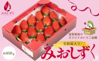 〇滋賀県産いちご「みおしずく」化粧箱入り