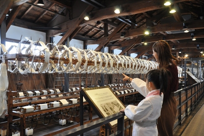 9J8pet0pii1jufeLOvCZ.jpg?w=940&h=940