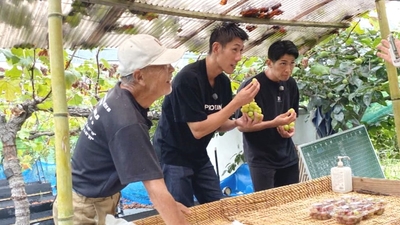 9KG4rQ6S1YQO2sLQCg4j.jpg?w=940&h=940