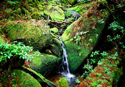 9KroORmb9fiab6ZS7ssl.jpg?w=940&h=940