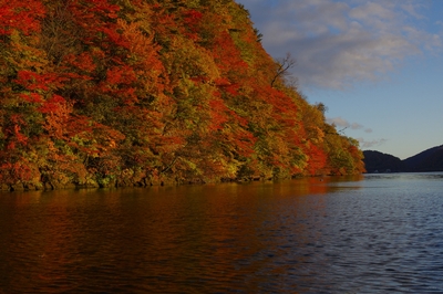 9MkdALDdBYdfzssMdLb3.jpg?w=940&h=940