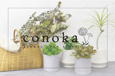 9MrmHC2wUbIsxMVmZ2ds.png?w=940&h=940