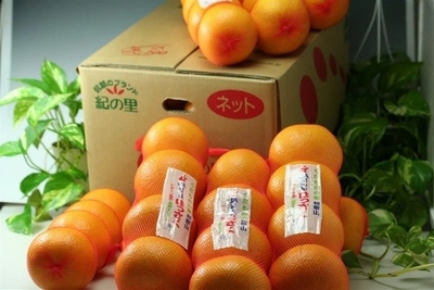 9N4XiJThwi6mlGbKS8pR.jpeg?w=940&h=940