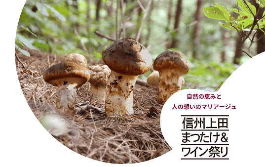 信州上田まつたけ&ワイン祭り