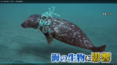 9OWTYiMGGmwFHEPwT75t.jpg?w=940&h=940