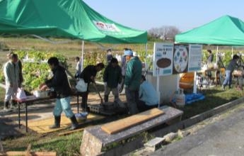~イモが地球を救う!~ 空中栽培によるサツマイモ収穫祭が開催されます