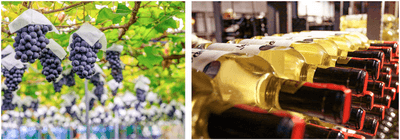 9OoJI3ekltee9F7bR3hK.png?w=940&h=940