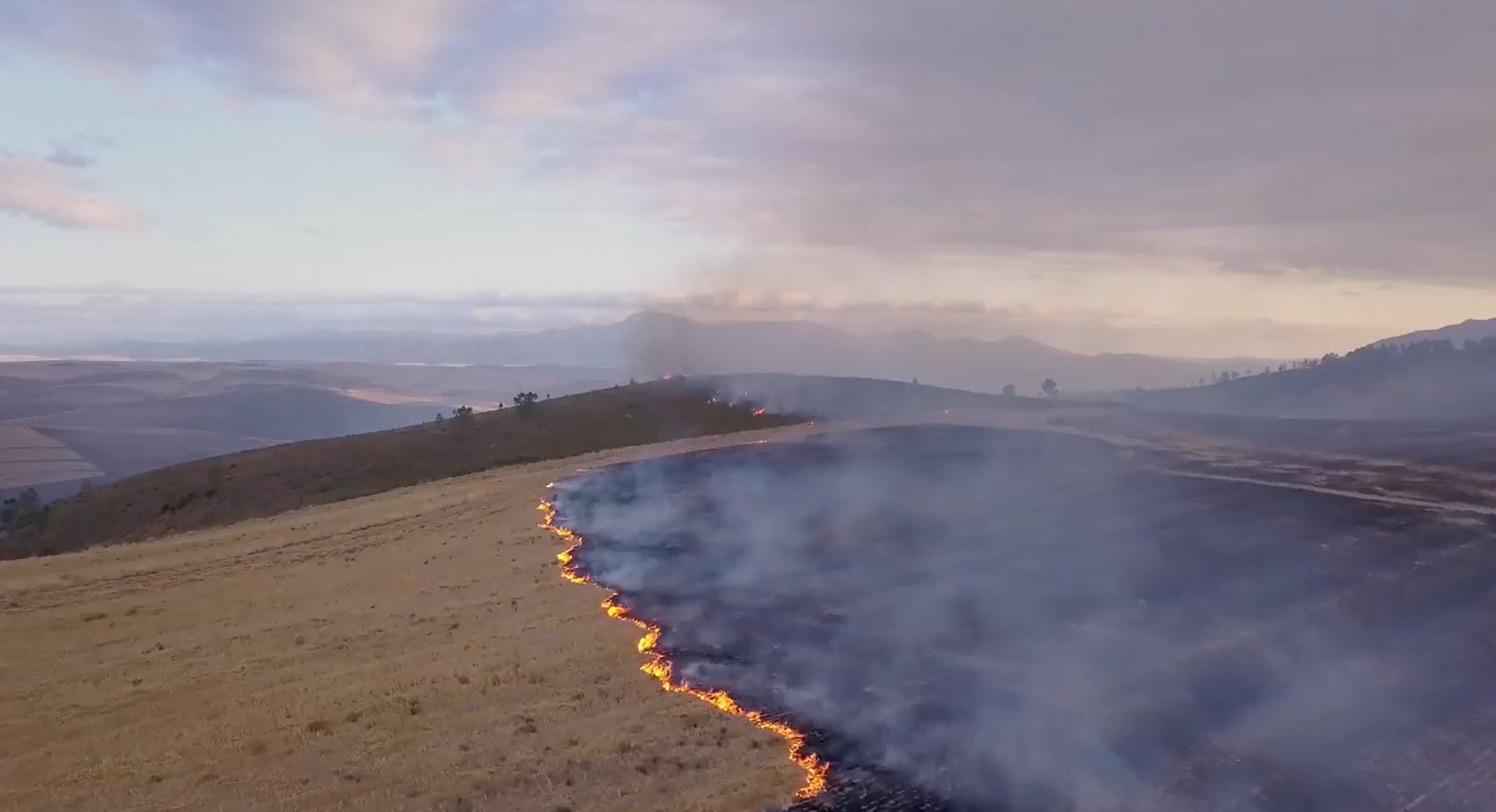 © Anatomy of a Wildfire Pty Ltd 2019 All Rights Reserved. Licensed by ITV Studios Ltd