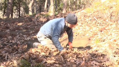 9RYfabAhhKt1S2GHCMAf.jpg?w=940&h=940