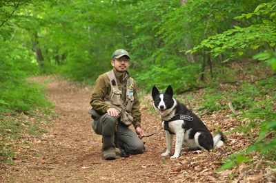ピッキオの「ベアドッグ」