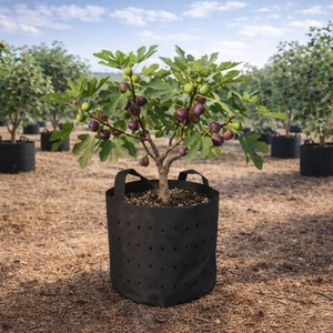 9Rr2vHTTlIZakOHPCr4e.jpg?w=940&h=940