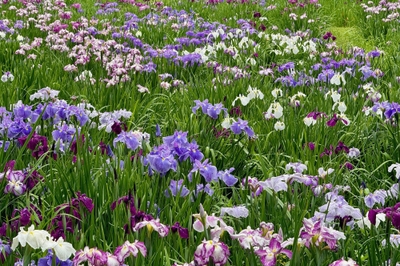 9S3Y3Km4jLvFu26VnmOI.jpg?w=940&h=940