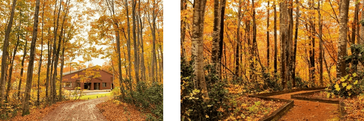 浅草山麓エコ・ミュージアム
