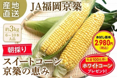 ＪＡタウンのショップ「博多うまかショップ」で ＪＡ福岡京築　スイートコーン「京築の恵み」を特価で販売中！ ～さらに先着100名様にホワイトコーンを1本プレゼント～