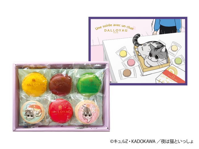 キュルガマカロン入り詰め合わせ(6個入)