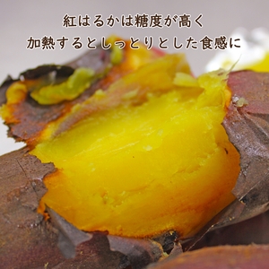 9WuN2Pgu8z91IUVLT6ls.jpg?w=940&h=940