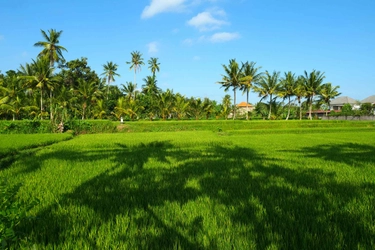 至極の音でリラックス!ハイレゾでガムランの世界を体験!192kHz/24bitの最高レベルのハイレゾ音源で現地の音を聴いてみる!