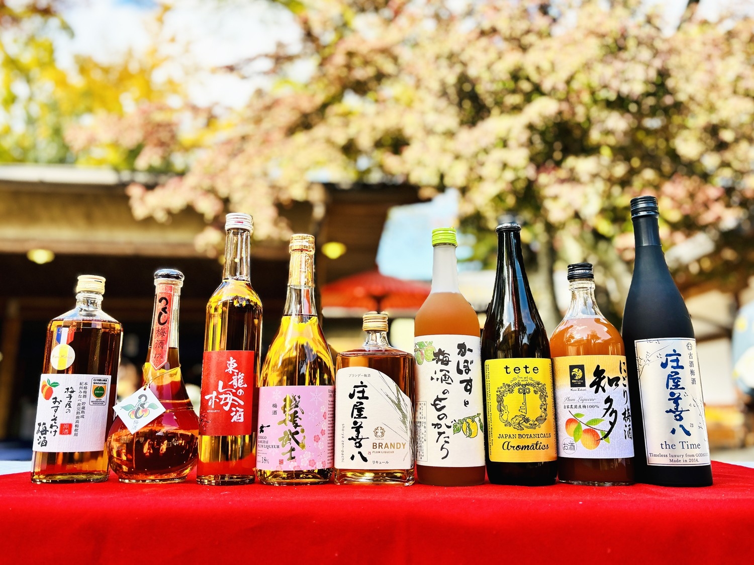金賞受賞梅酒が水戸に集結 — 数量限定「獺祭梅酒」も登場、3月13日（金