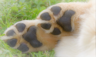 9cGiI9roL1qfH6b33xxz.jpeg?w=940&h=940