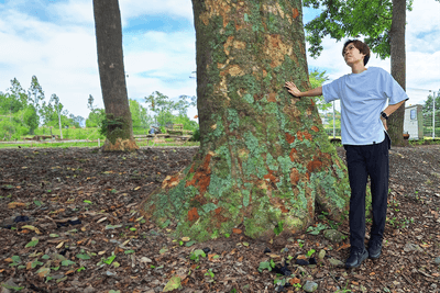 9cZPK2voaK6B3Lr3uaAz.png?w=940&h=940