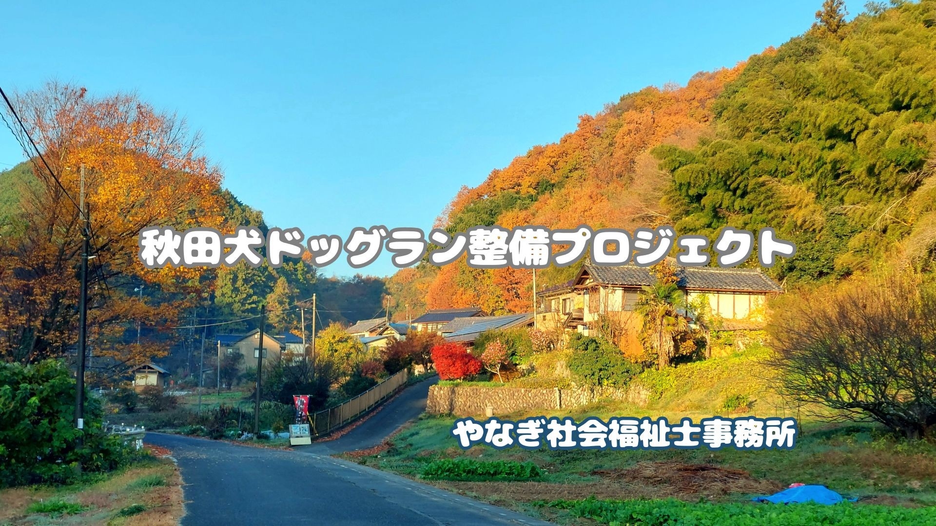 やなぎ社会福祉士事務所