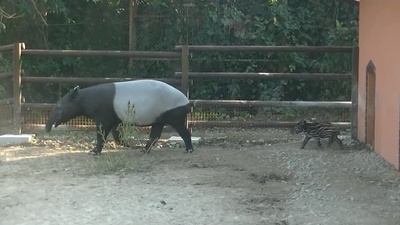 9djzpGh33K3b24SzuKNB.jpg?w=940&h=940